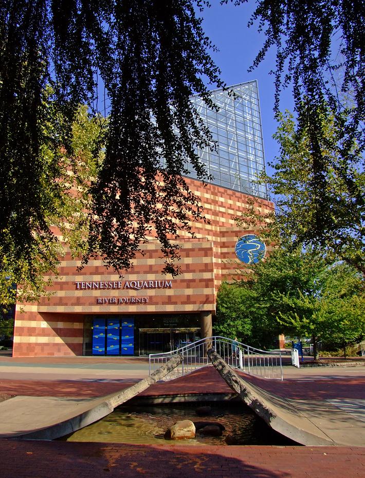 Tenessee Aquarium, Chattanooga, TN