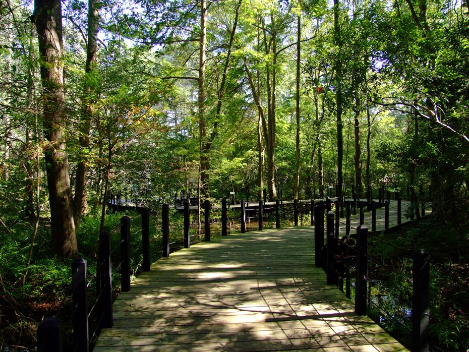 Eingezäunte Natur im Zooteil, Brookgreen Gardens, SC