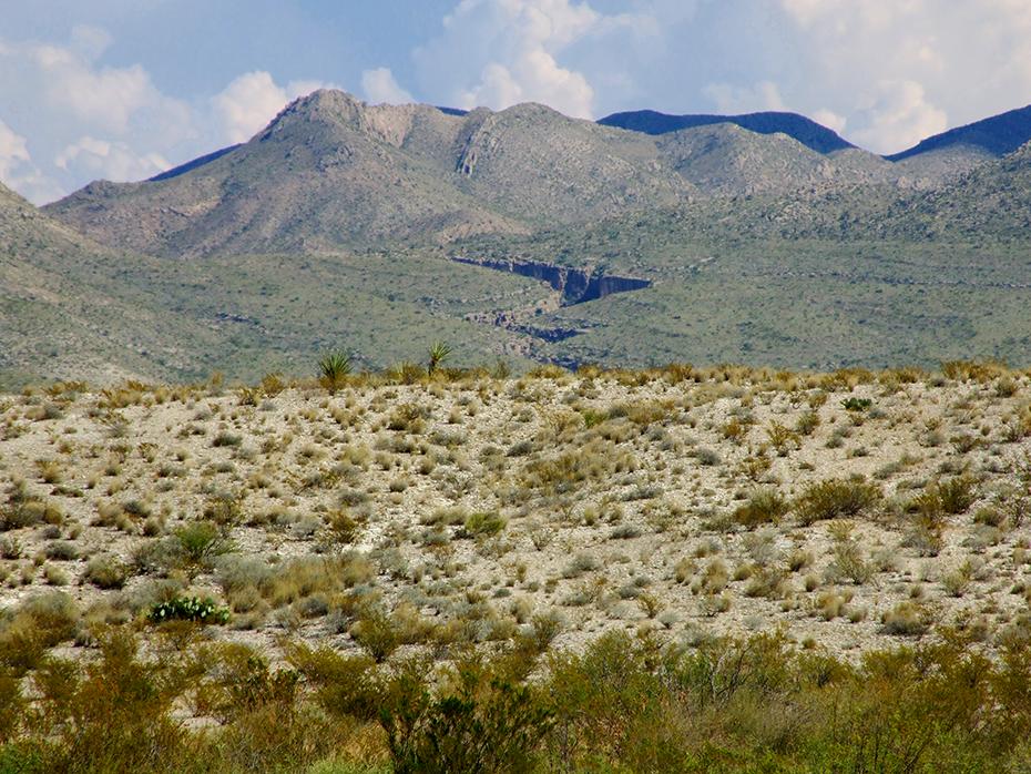Dog Canyon, Big Bend NP, TX