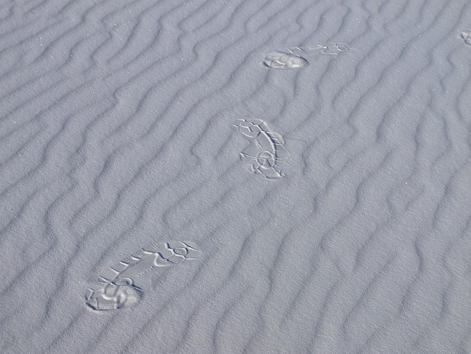 Lonely Footsteps, White Sands NM, NM