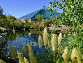 Glashaus im Biopark, Albuquerque, NM