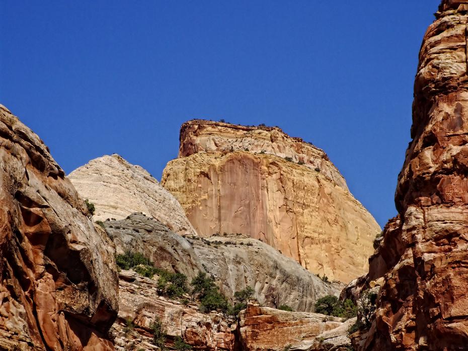 Der goldene Thron, Capitol Reef NP, UT