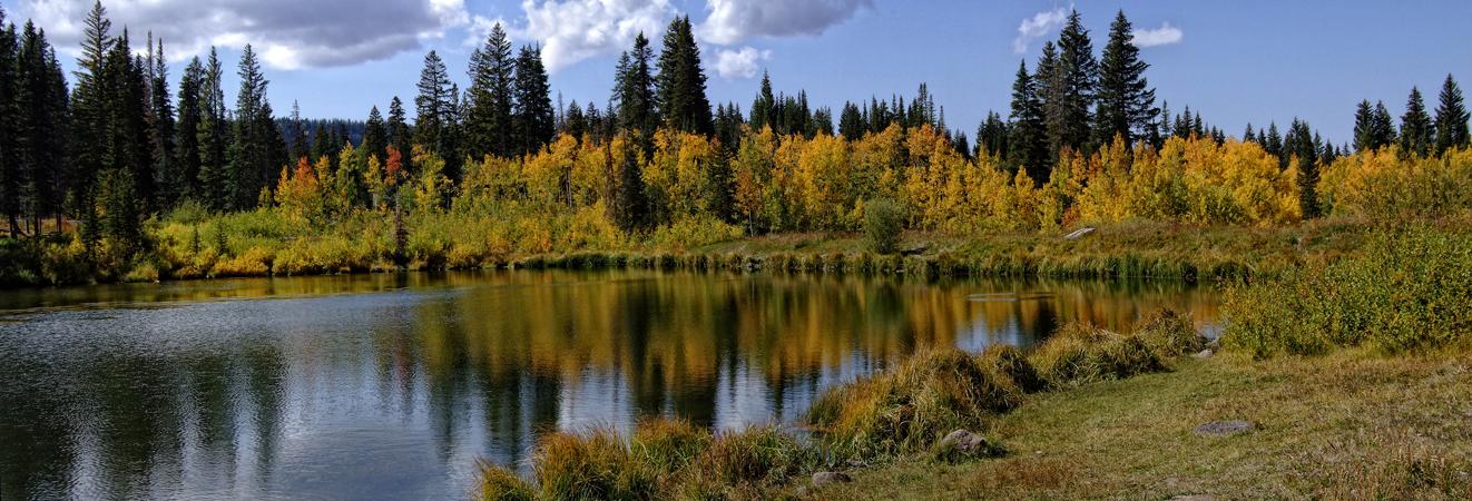 See mit gelben Bäumen am 'Frostberg', bei Delta, CO