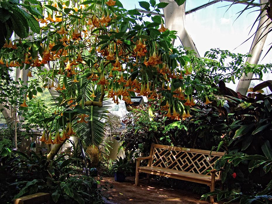 Glashaus, Denver Botanical Garden, Denver, CO