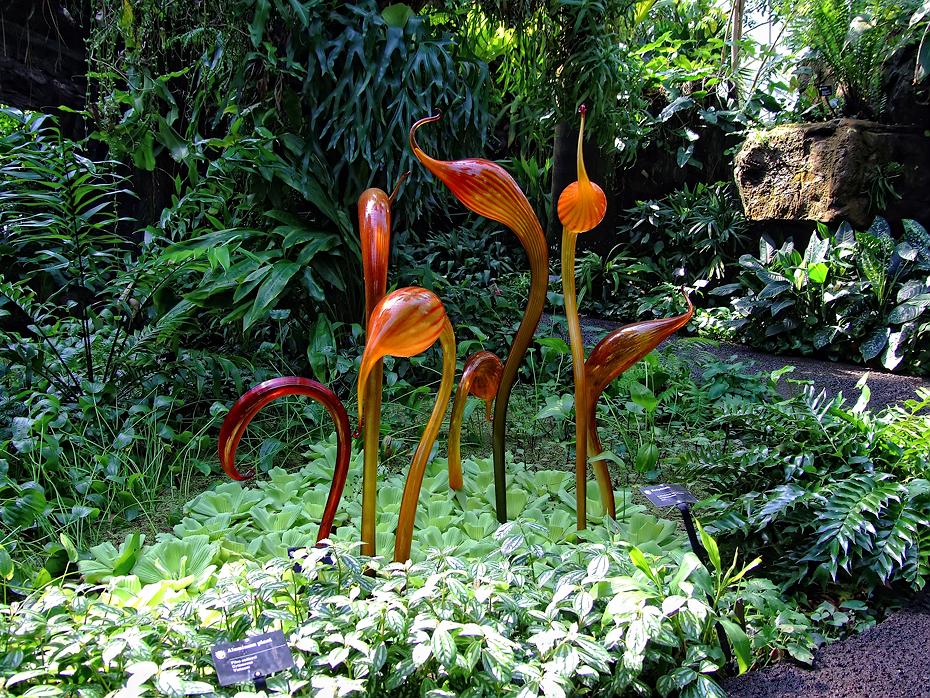 Kunst im Glashaus, Missouri Botanical Garden, St. Louis, MO