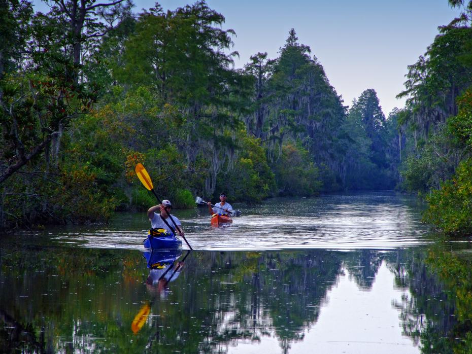 Paddler im Okefenokee Swap, GA