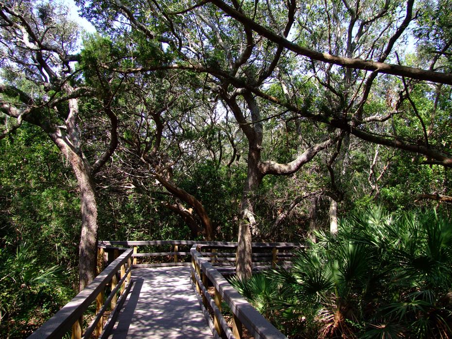Boardwalk zum Strand, Fort Mantanza NM, FL