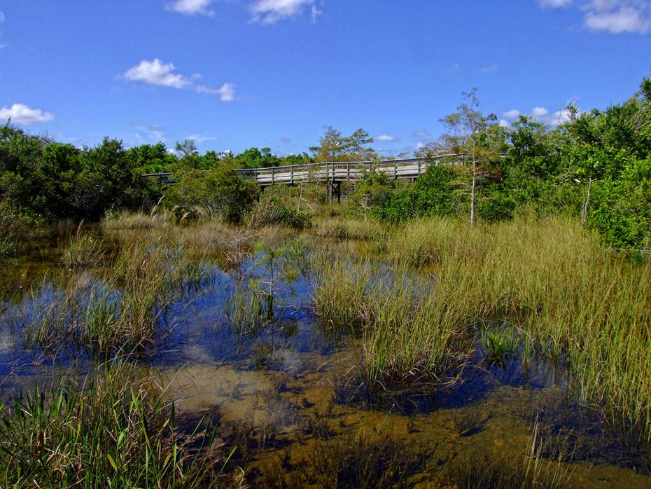 Boardwalk im Everglades NP, FL