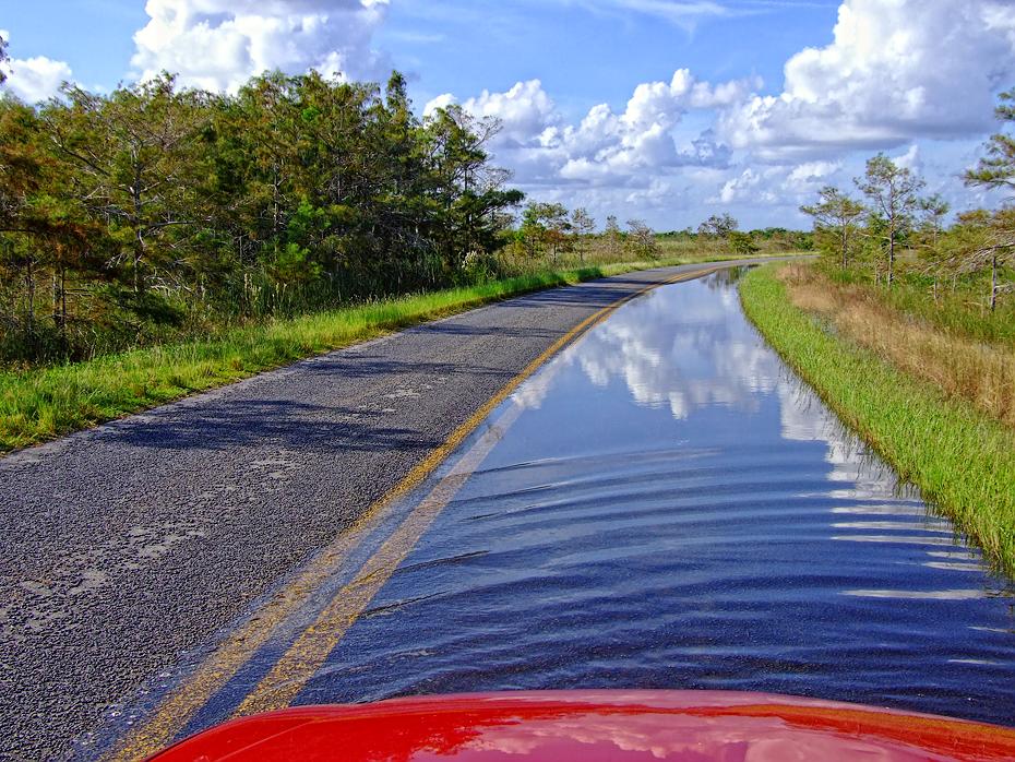 Überflutete Straße im Everglades NP, FL