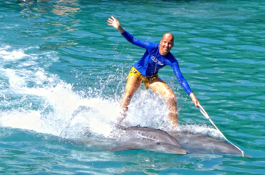 Delphin im Miami Seaquarium, Miami, FL