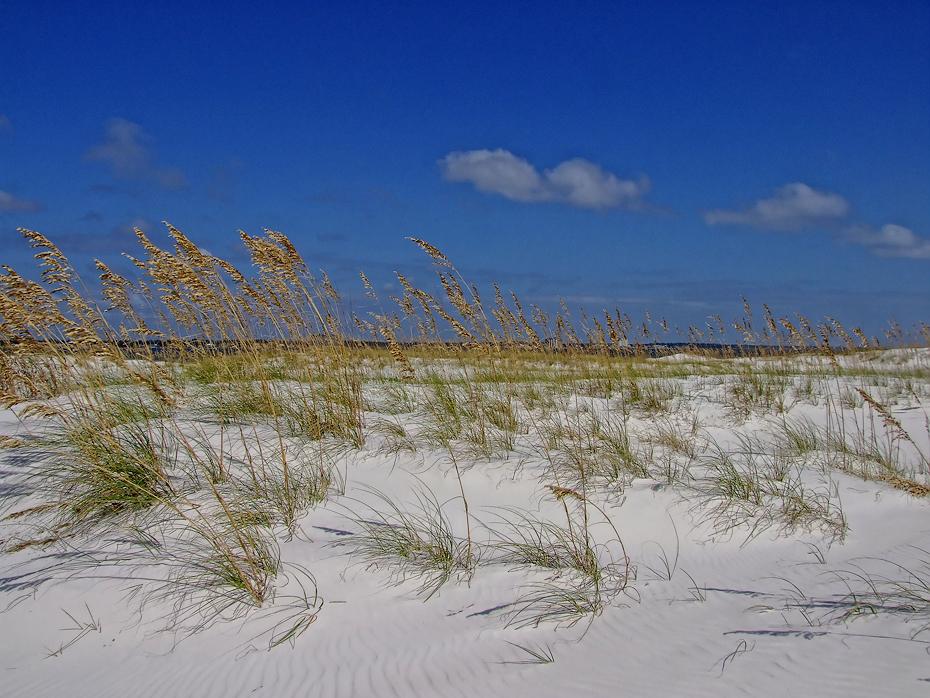 Düne am Pensacola Beach, FL