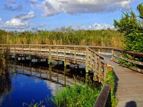 Boardwalk im Everglades NP, FL