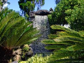 Wasserfall im Cypress Garden, FL
