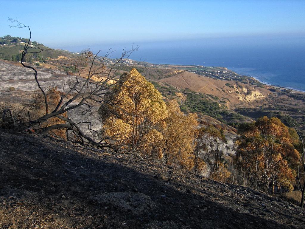 noch mehr Brandschäden in Palos Verdes
