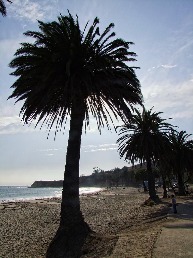 Refugio State Beach