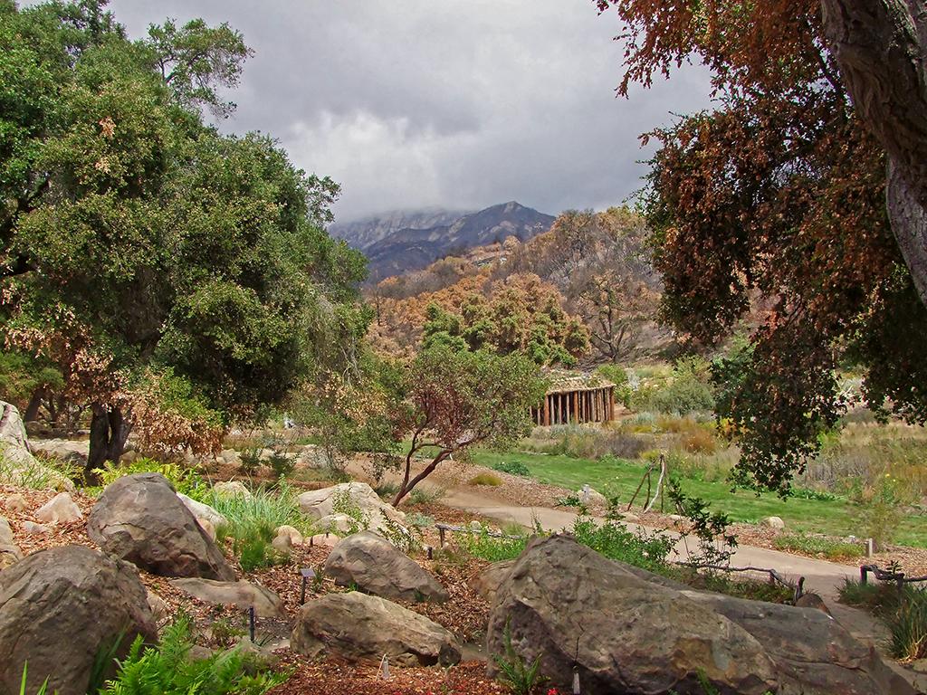 botanischer Garten, Santa Barbara