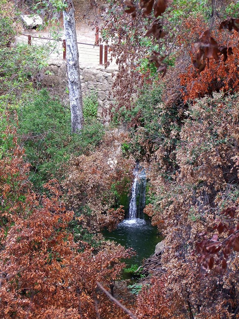 Wasserstelle, botanischer Garten, Santa Barbara
