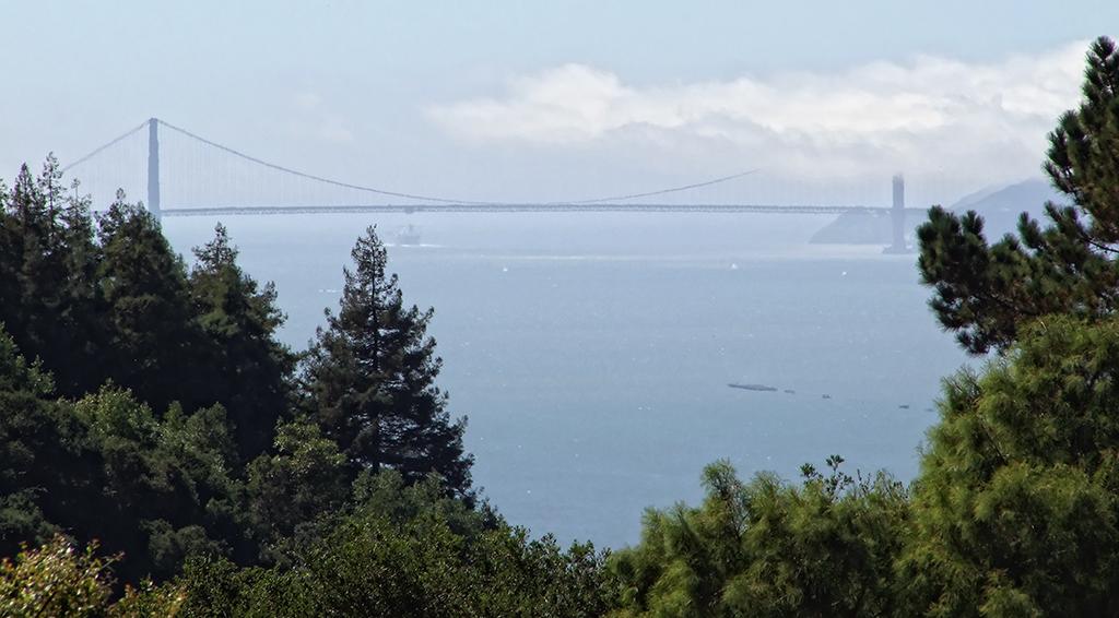 Golden Gate Bridge vom botanischen Garten, Berkeley, CA