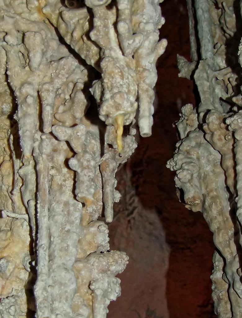 Lehman Cave, Great Basin NP, NV