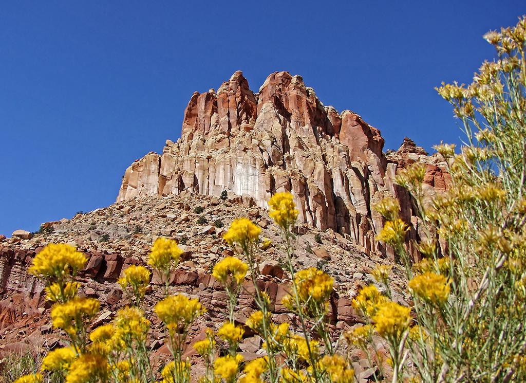Capitol Reef NP, UT