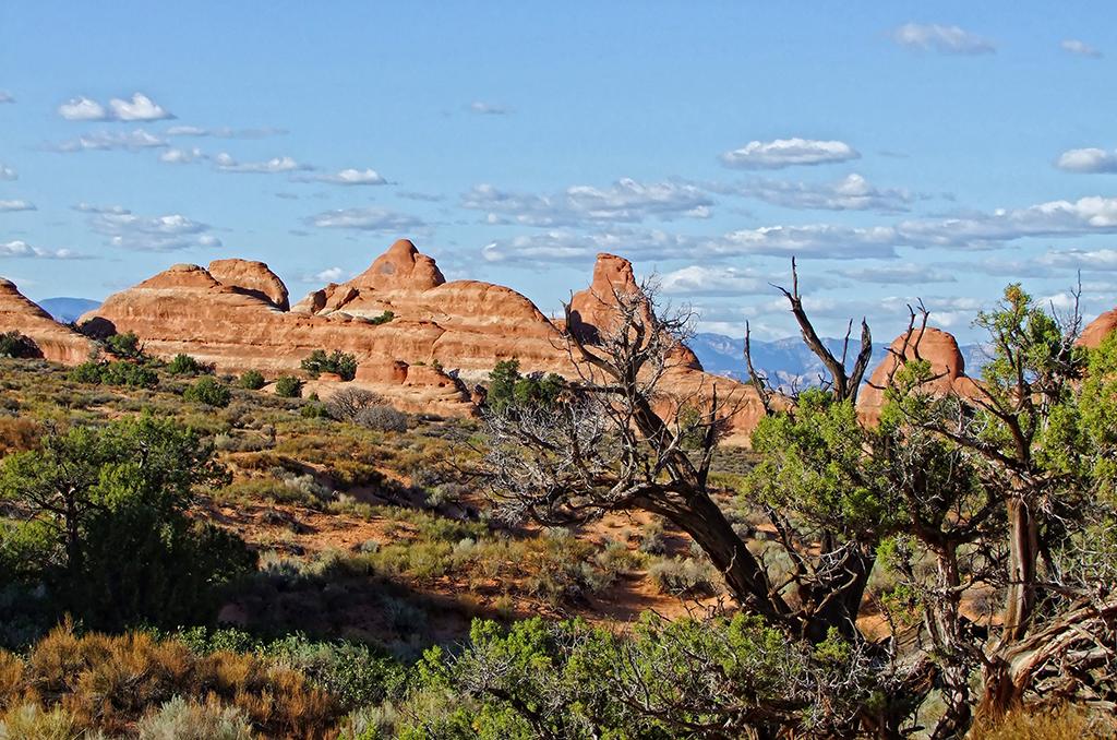 Arches NP, UT