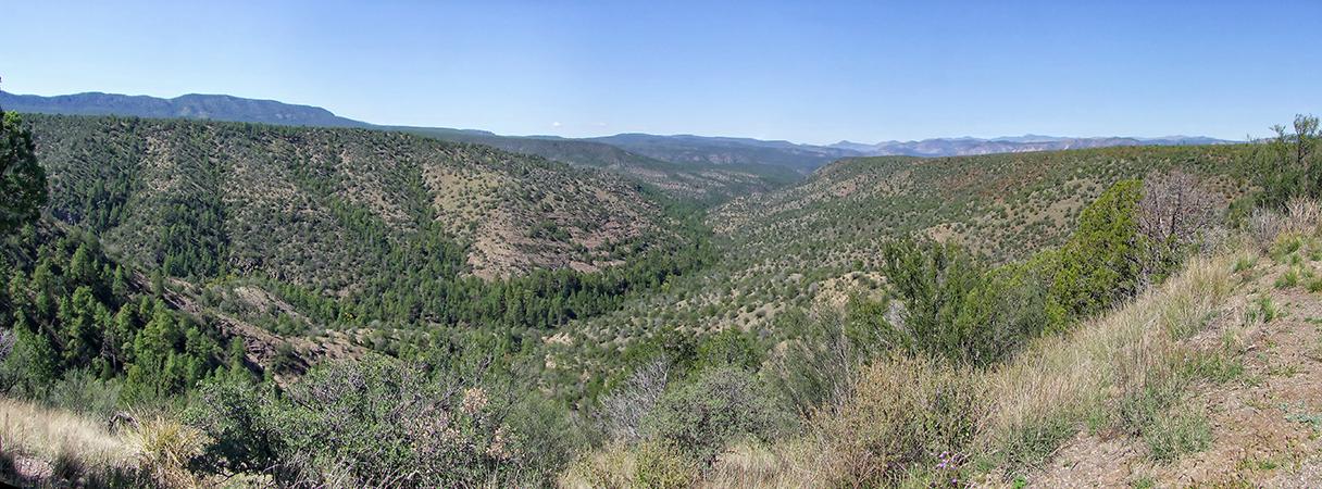 auf dem Weg zum Gila Cliff Dwellings NM, NM