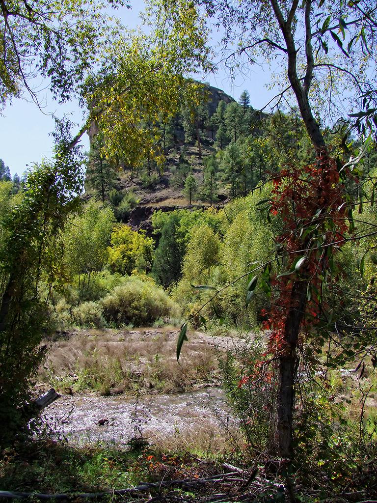 Wohnfelsen, Gila Cliff Dwellings NM, NM