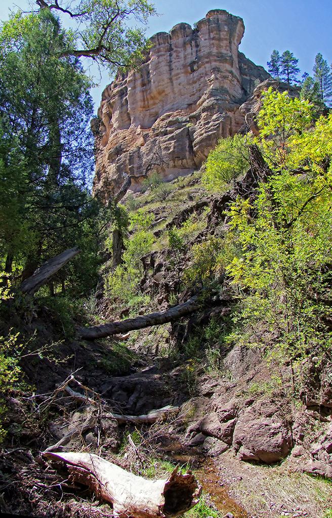 Wohnfelsen, Gila Cliff Dwellings NM, NM