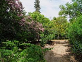 Los Angeles Arboretum