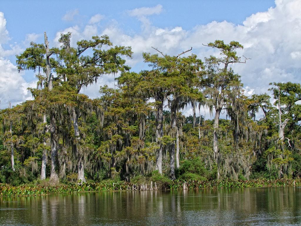 Wakulla Springs SP, FL