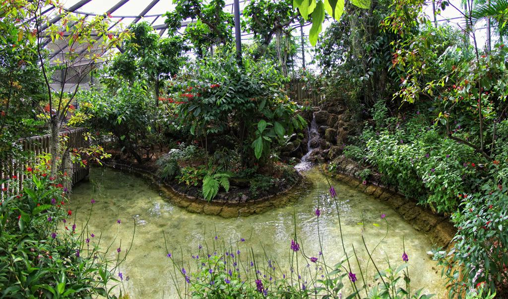 Butterfly World