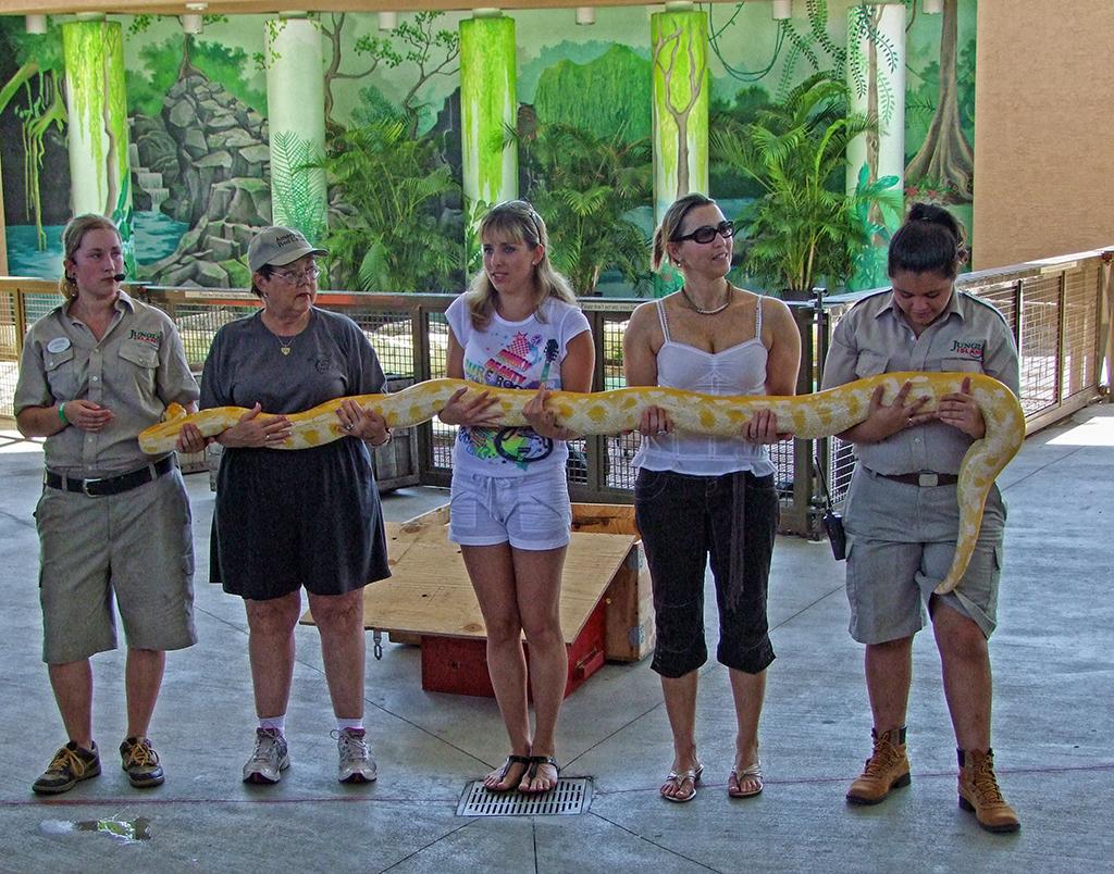 Show im Jungle Island