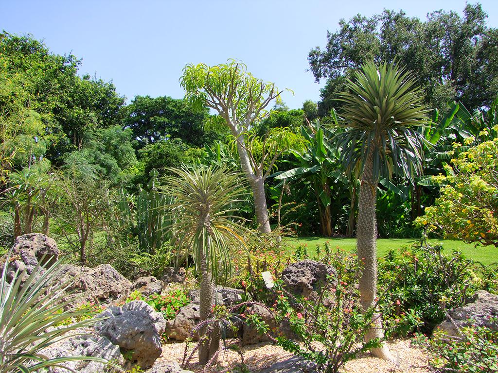 Fairchild Tropical Gardens
