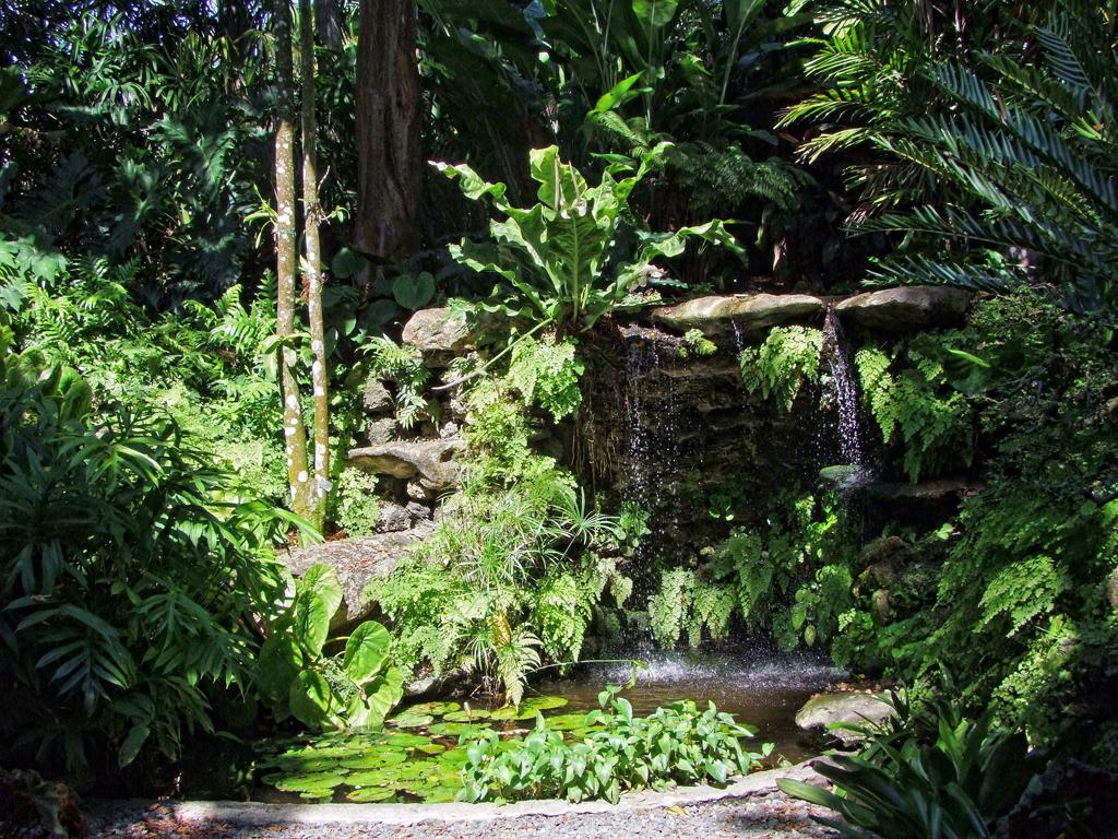 Fairchild Tropical Gardens