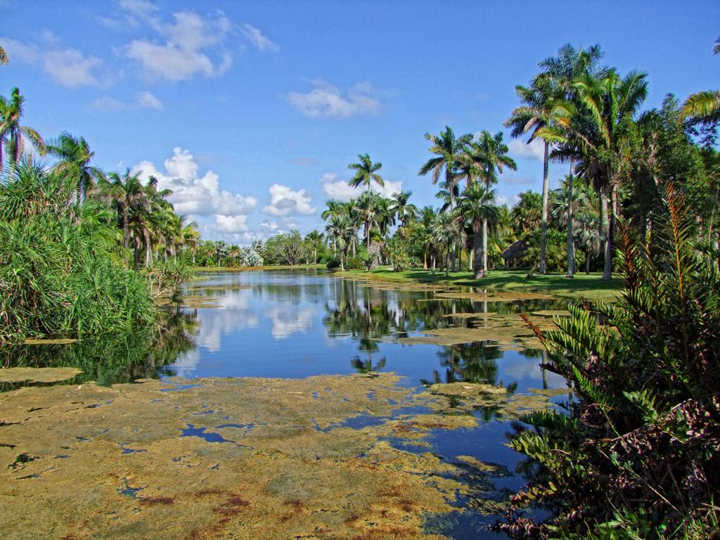 Fairchild Tropical Gardens