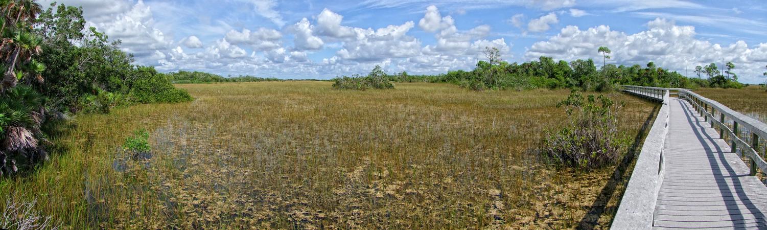 Everglades NP