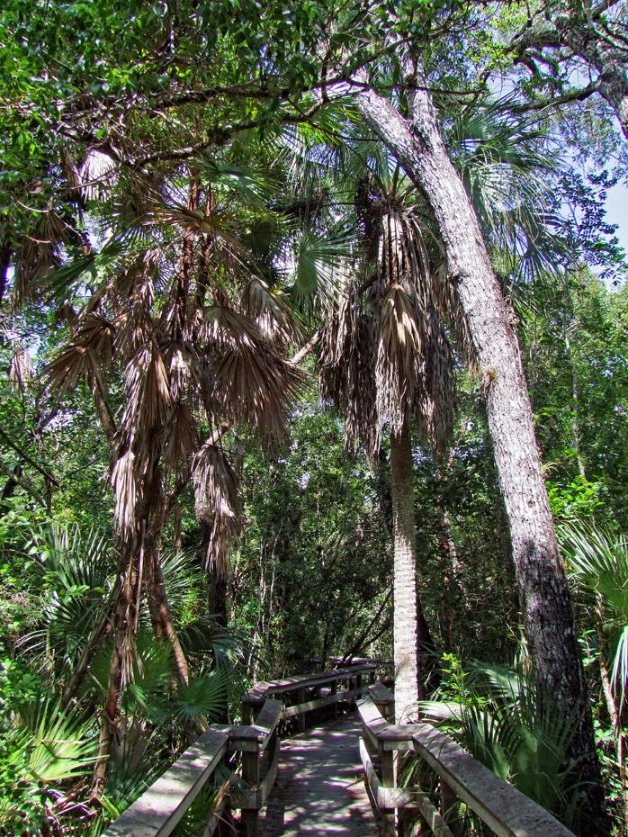 Everglades NP
