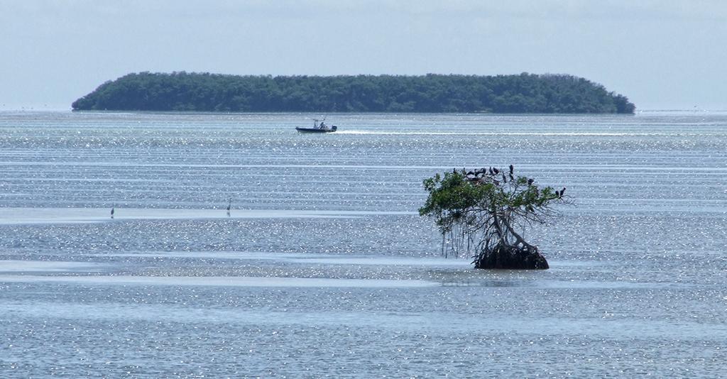 Everglades NP