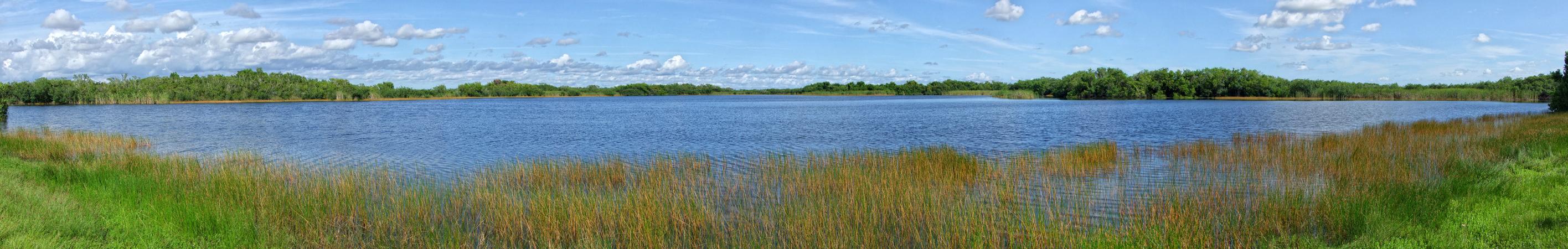 Everglades NP