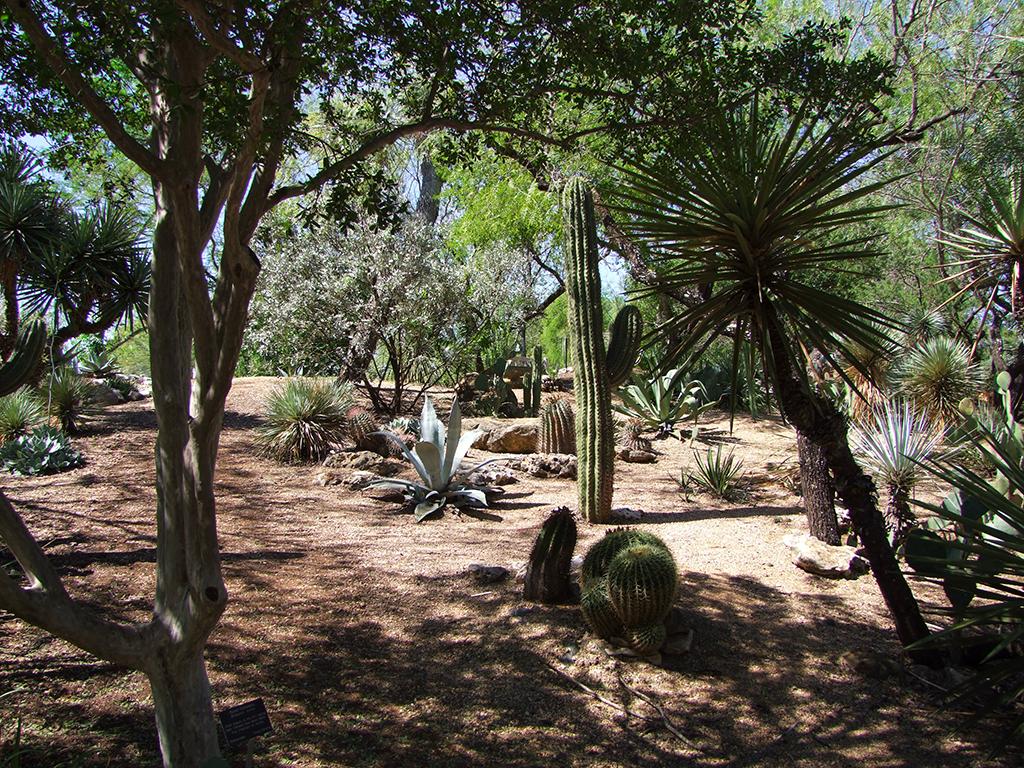 San Antonio Botanical Garden, San Antonio, TX