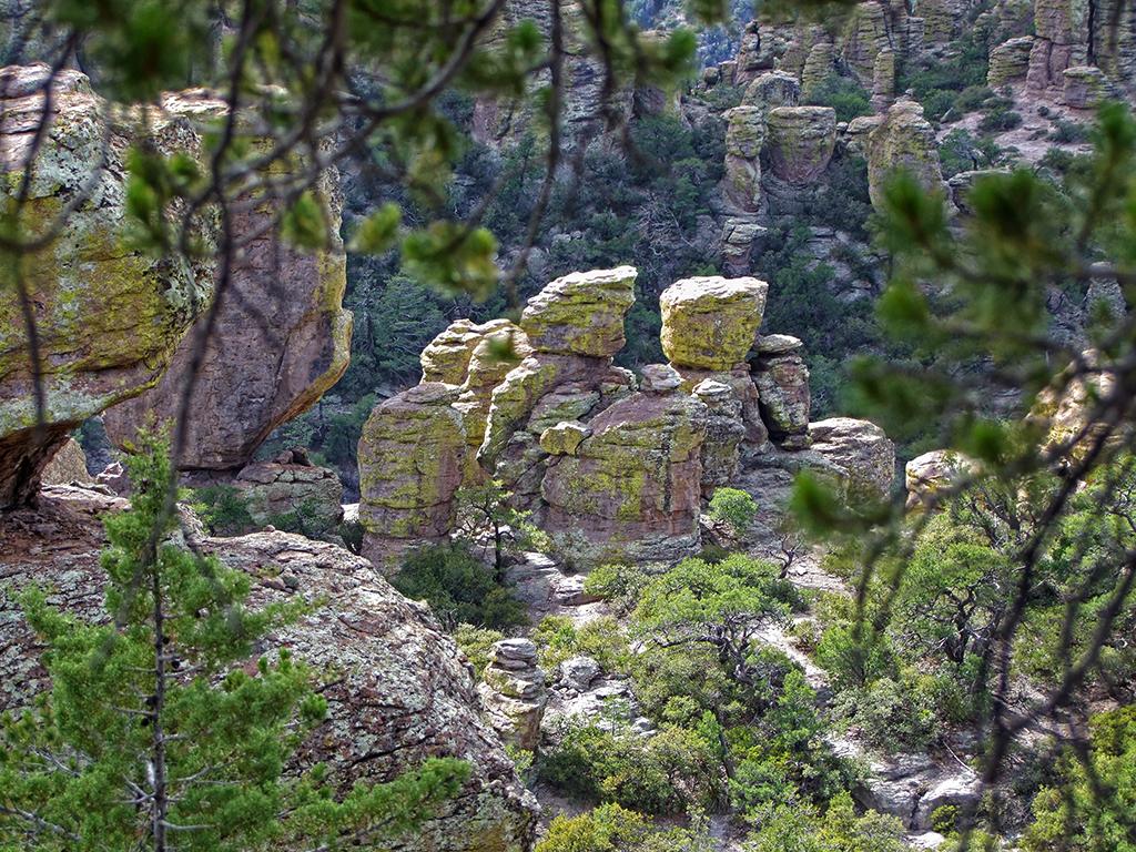 Chiricahua NM, AZ